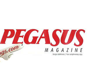Media Image